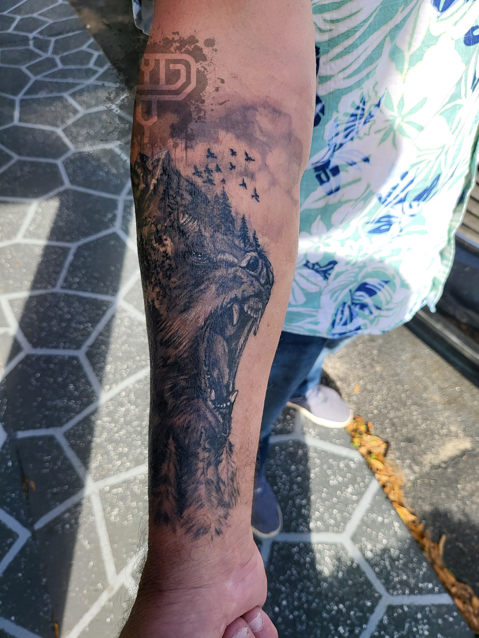 099_surreal_grizzly_landscape_black_gray_left_forearm_daniel_aaron_collins_premium_tattoo_artistry