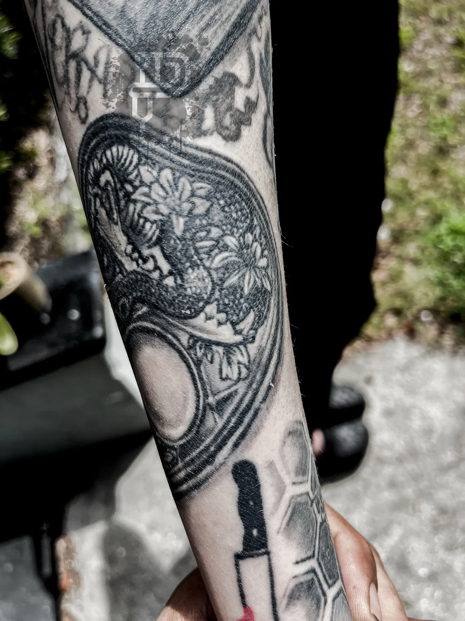 128-Planchet Tattoo with Carved Detailing – Daniel Collins – Premium Tattoo Artistry