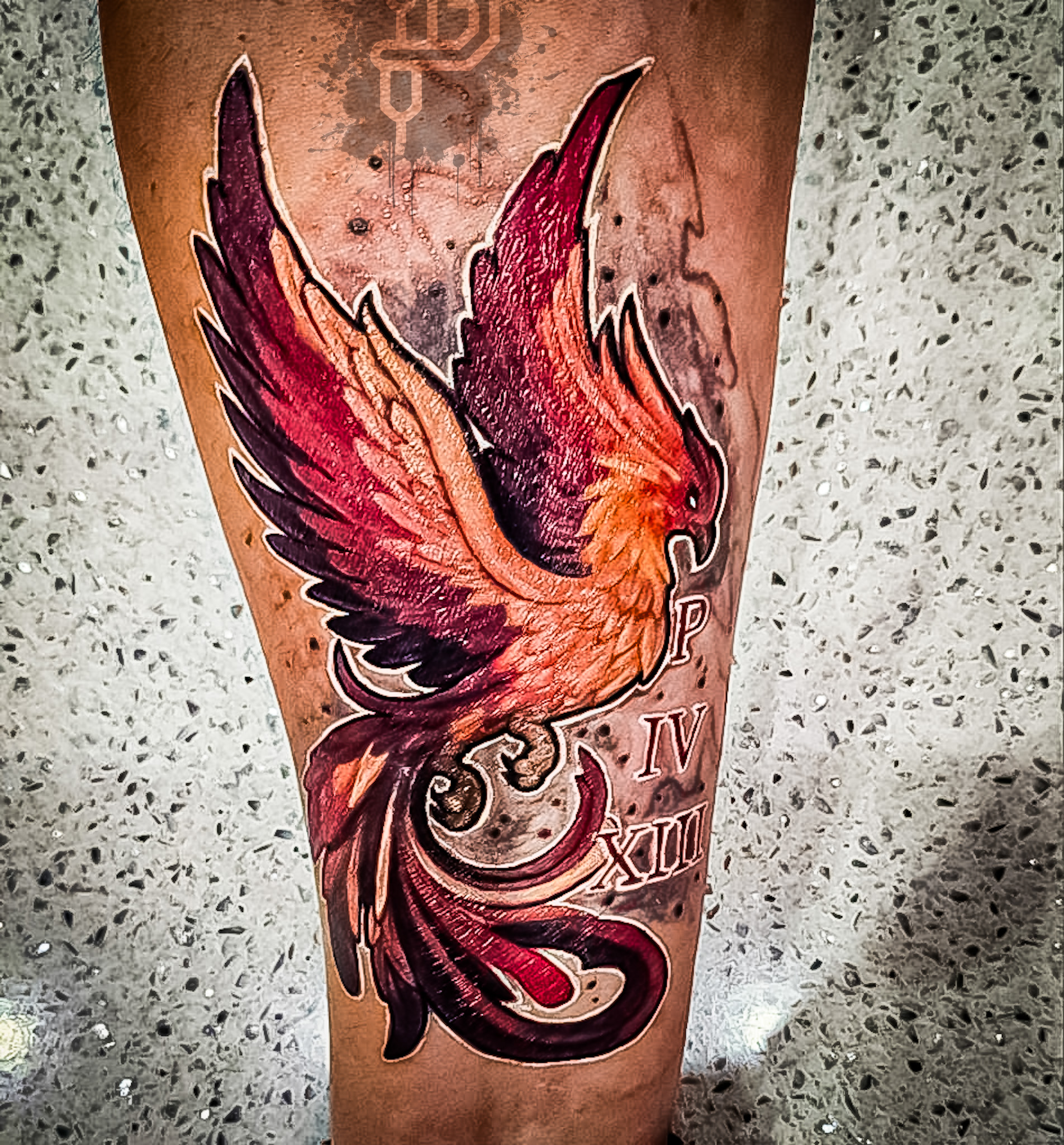 162_harry_potter_phoenix_roman_numerals_fullcolor_forearm_daniel_aaron_collins_premium_tattoo_artistry
