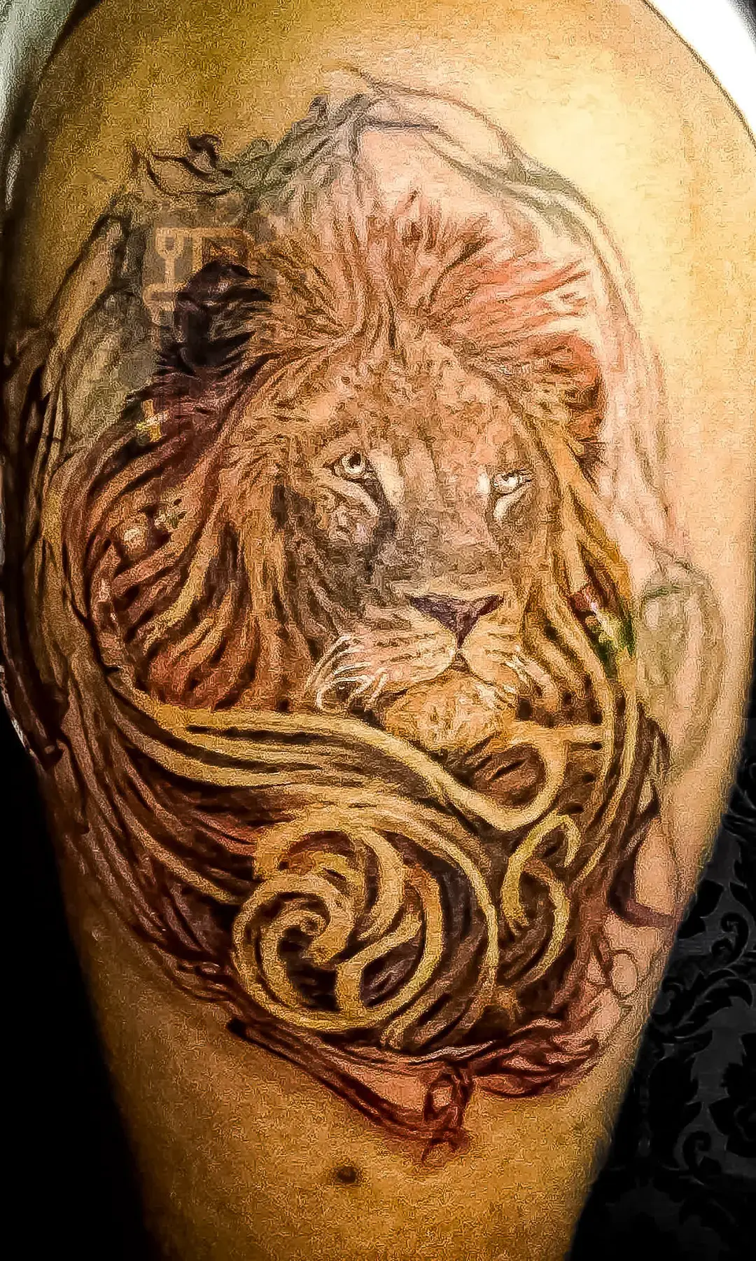 rasta-lion-angle-upper-left-arm-full-color-realism-premium-tattoo-artistry-daniel-aaron-collins-austin-tx