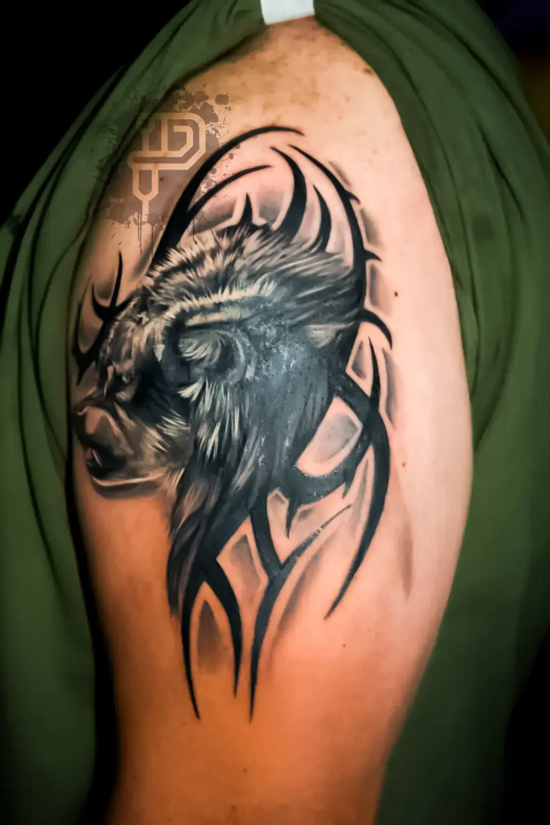 tribal-wolf-incomplete-upper-left-arm-black-ink-premium-tattoo-artistry-daniel-aaron-collins-austin-tx