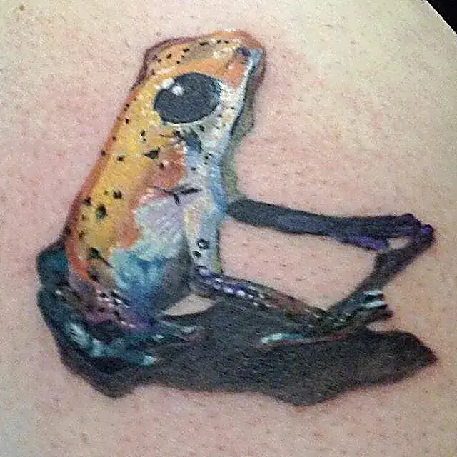 Twin jungle vibes: Realistic tree frog tattoo with vivid orange and blue coloration.